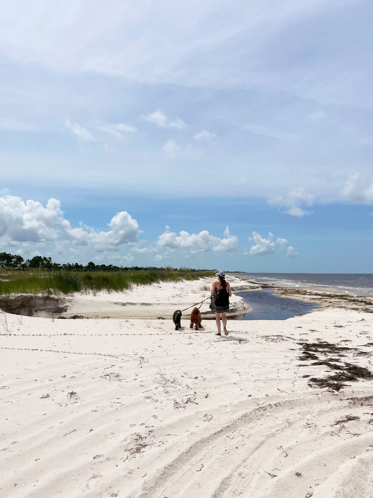 A woman with light-brown hair walks Otto and Remi on leashes along a wide white sand beach with coastal dunes and cloudy skies