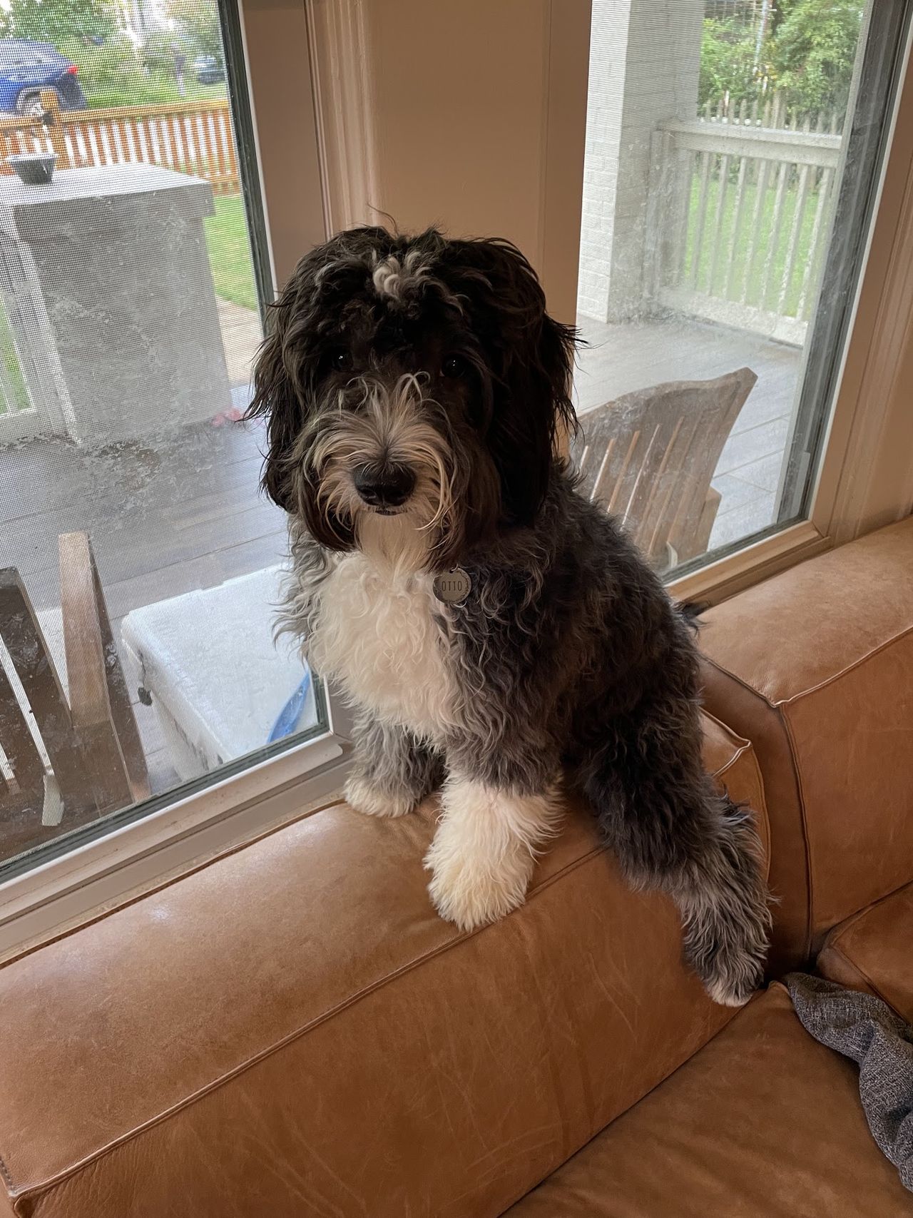 Otto sitting just before his first birthday