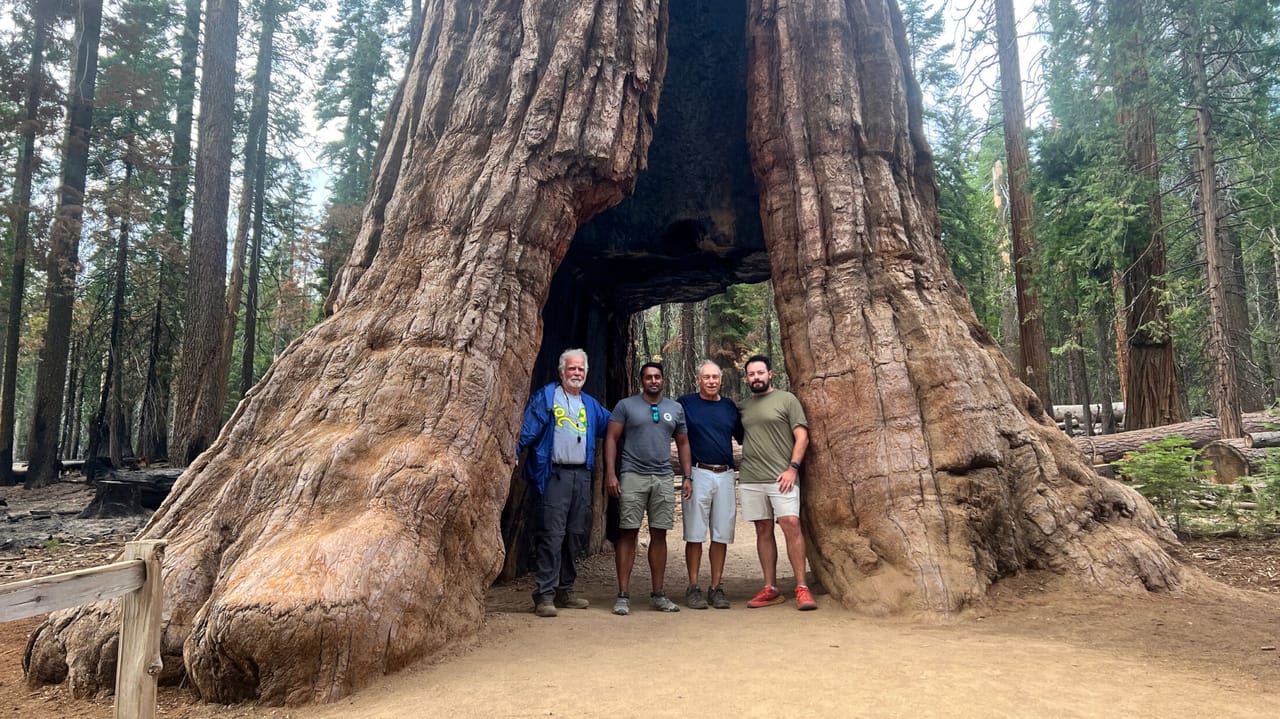 Uncle Ron, Andi, Dad and walking through one of the giant sequoias
