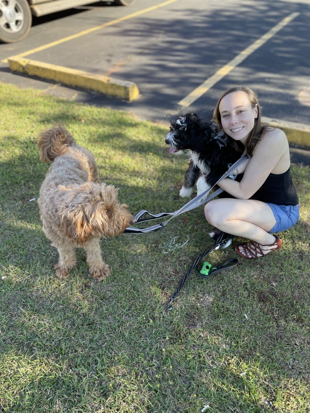 A woman with light-brown hair crouches on grass holding Otto and Remi on leashes near a parking lot