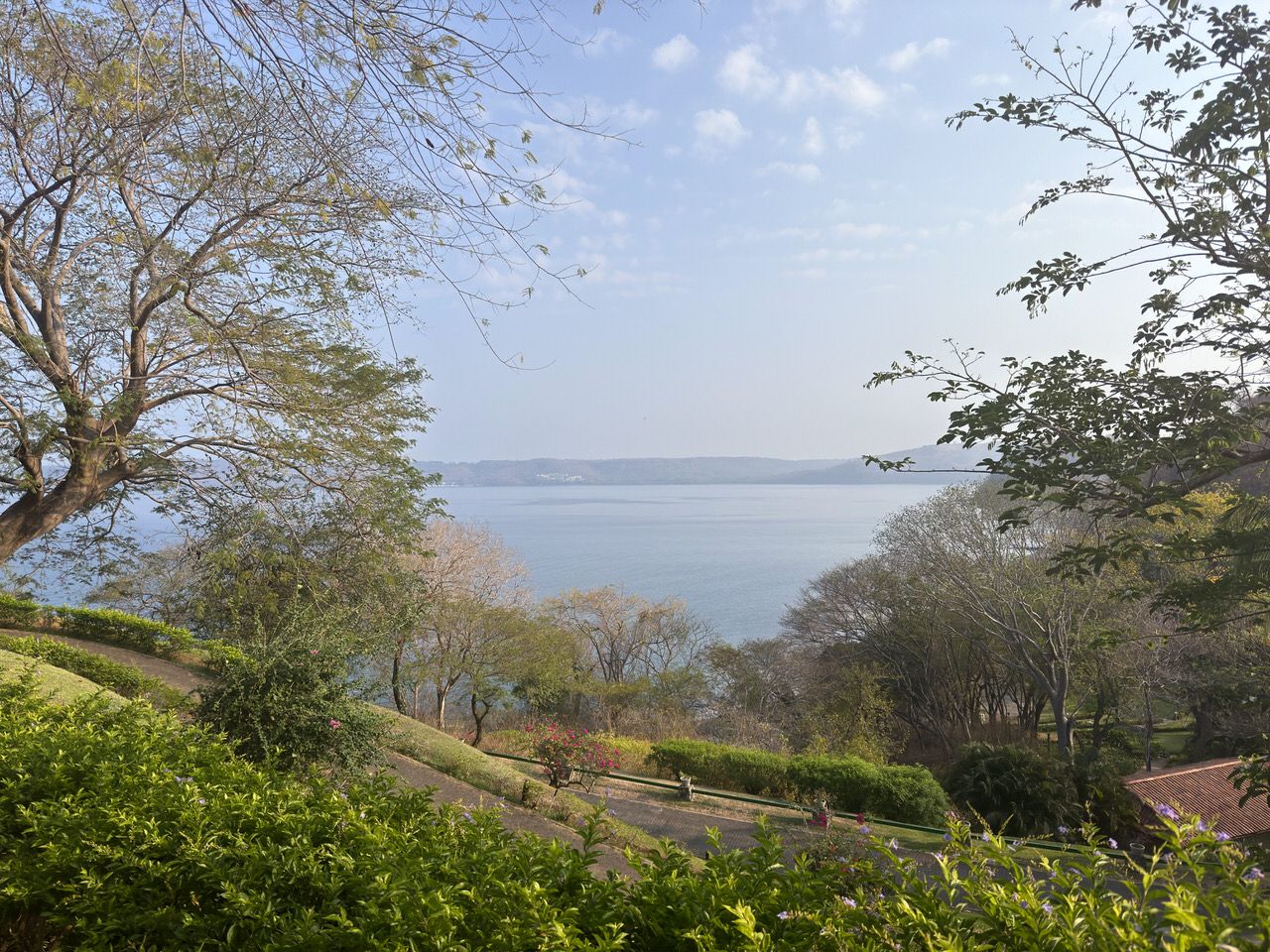 Hillside garden with lush shrubs, flowering plants, and trees overlooking a calm lake with distant hills under a hazy blue sky