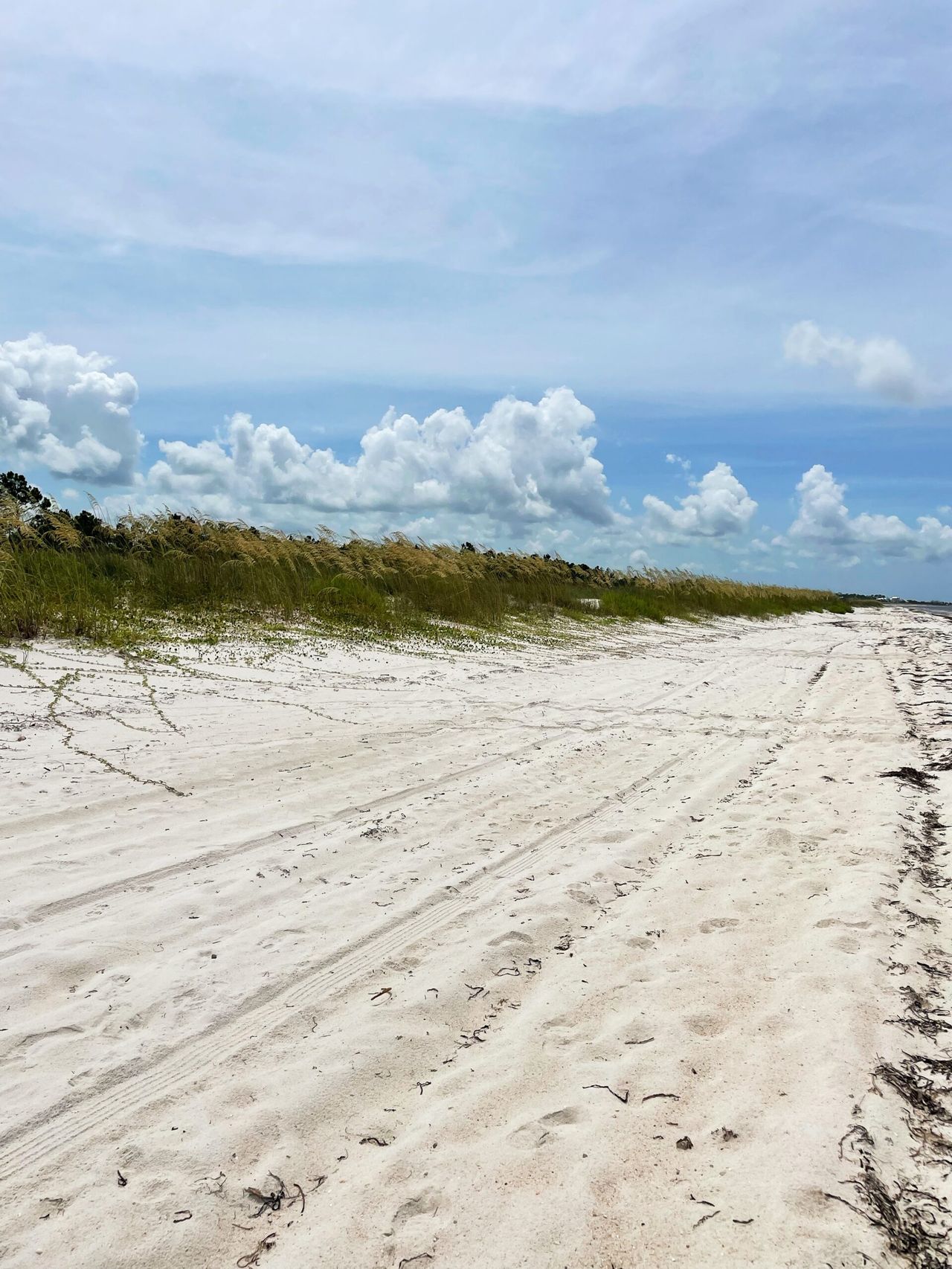 A long stretch of Port St. Joe Beach without anyone in sight.