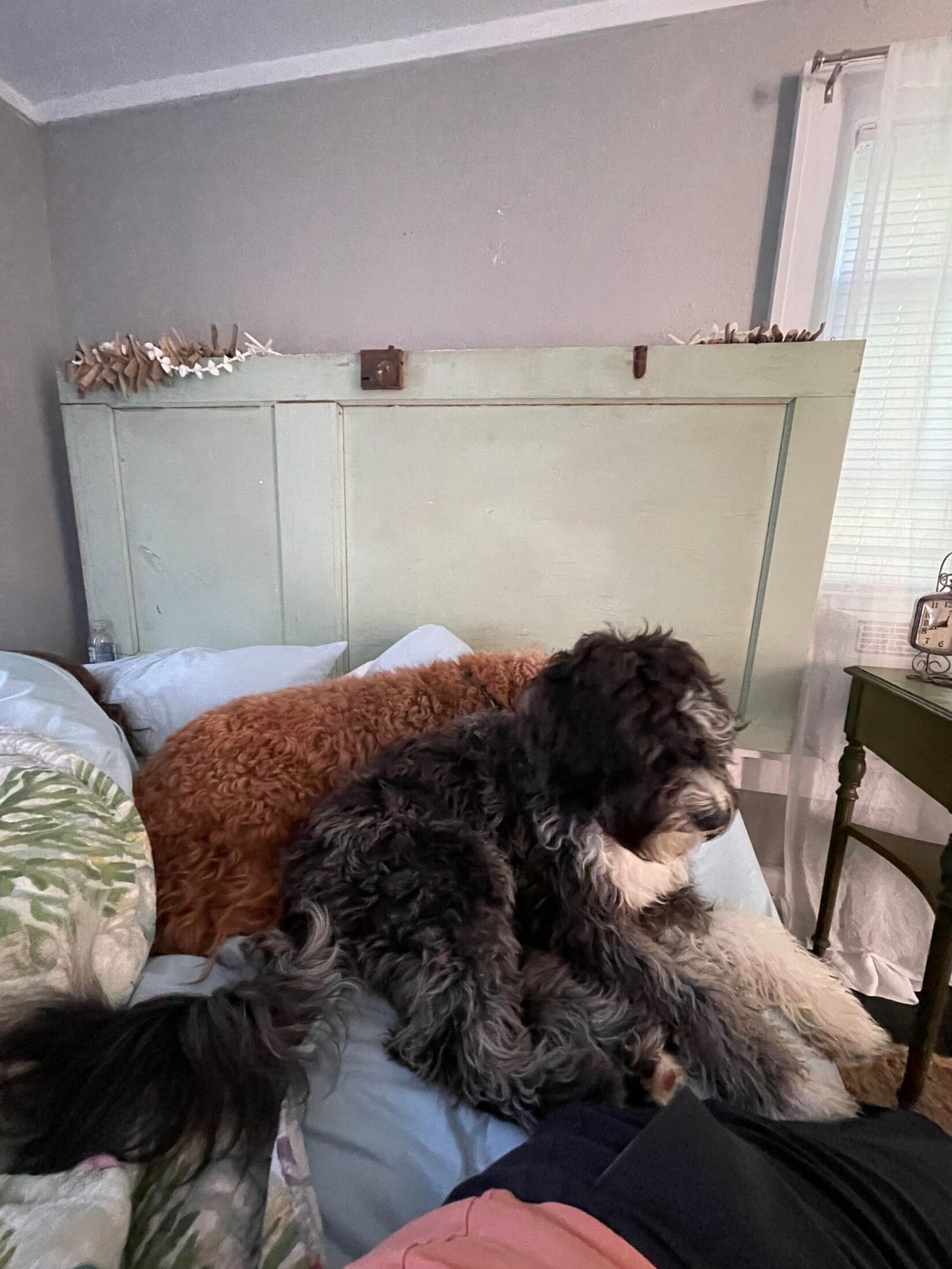 Otto and Remi on top of the bead.