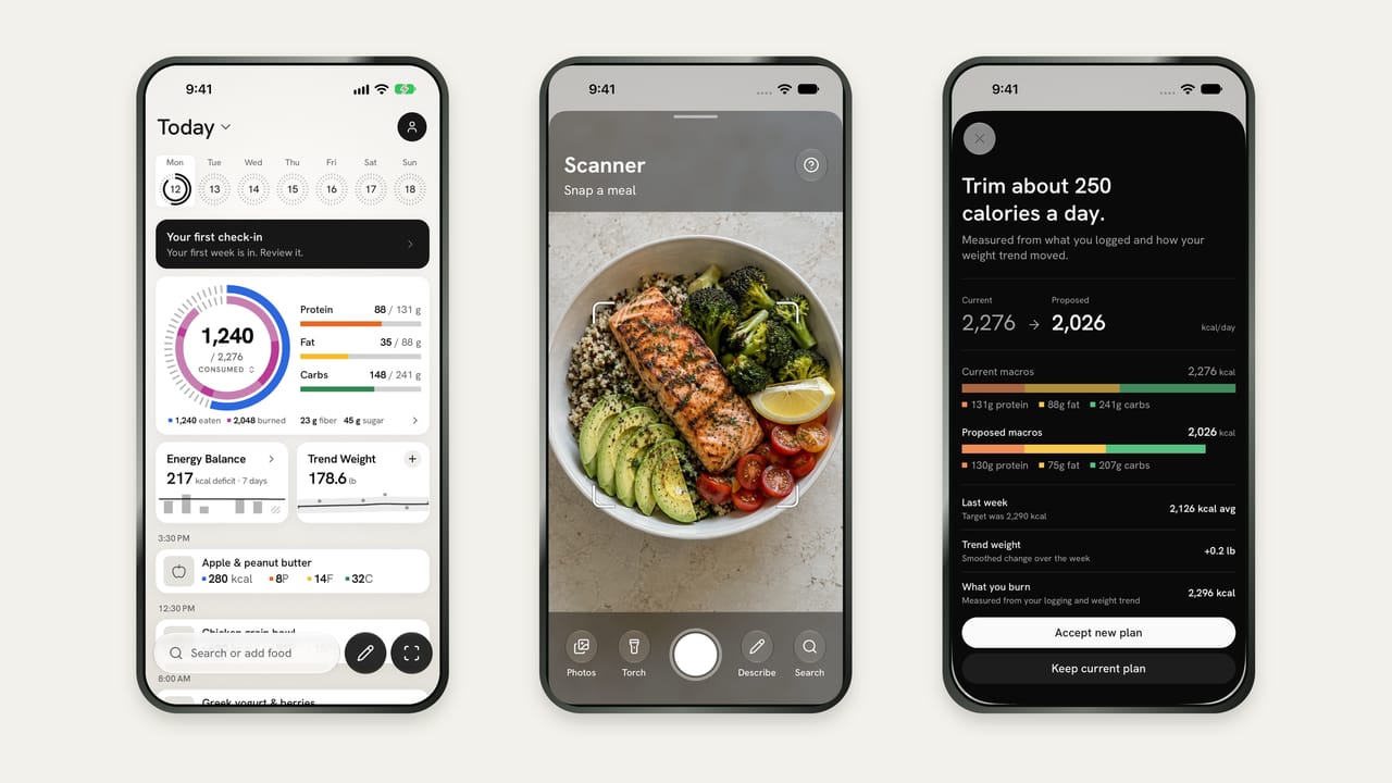 Three Fit Shapes screens—the Today dashboard, the meal scanner and a weekly check-in proposing a new calorie target