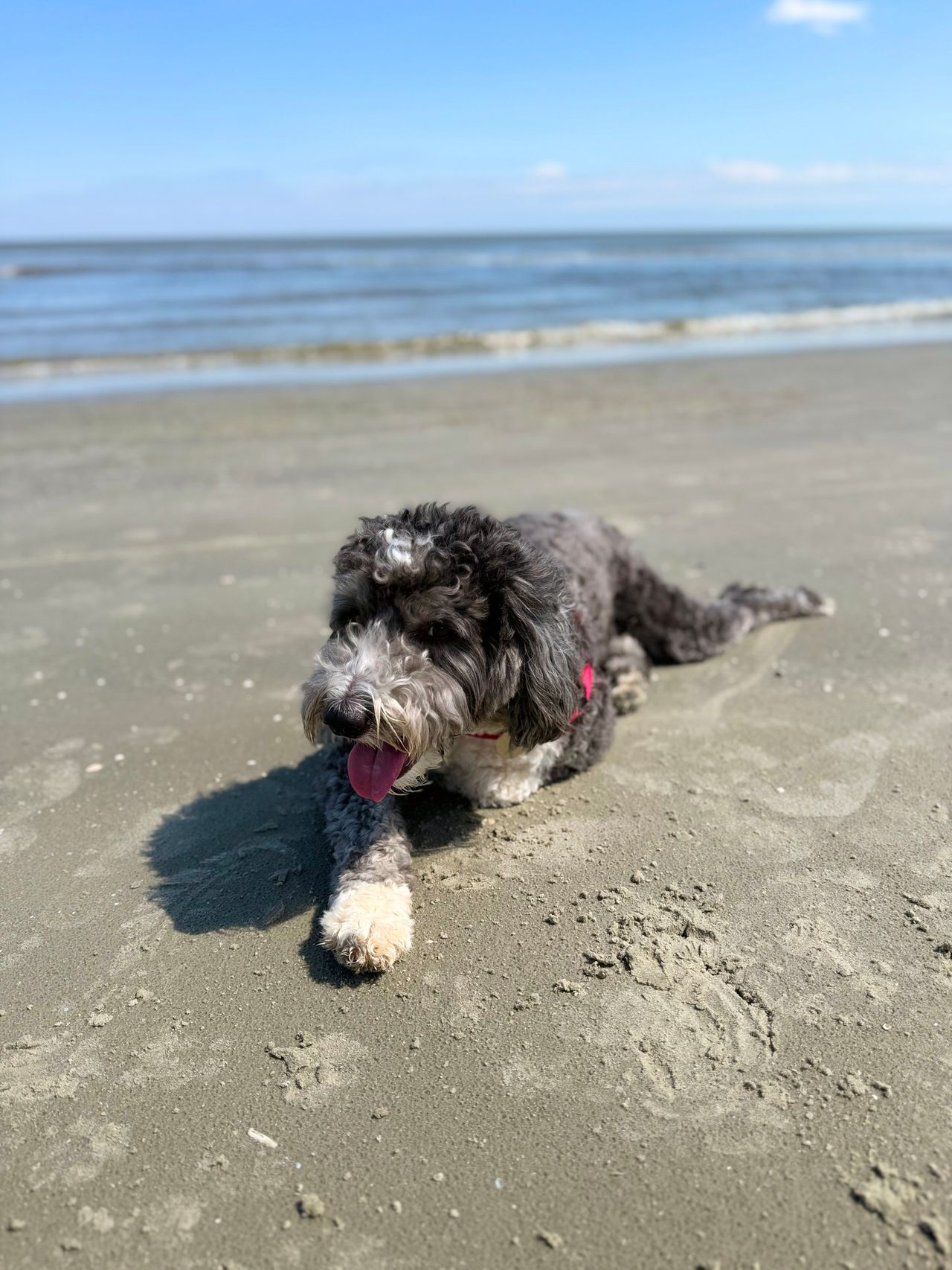 Jekyll Island 2024, photo 5
