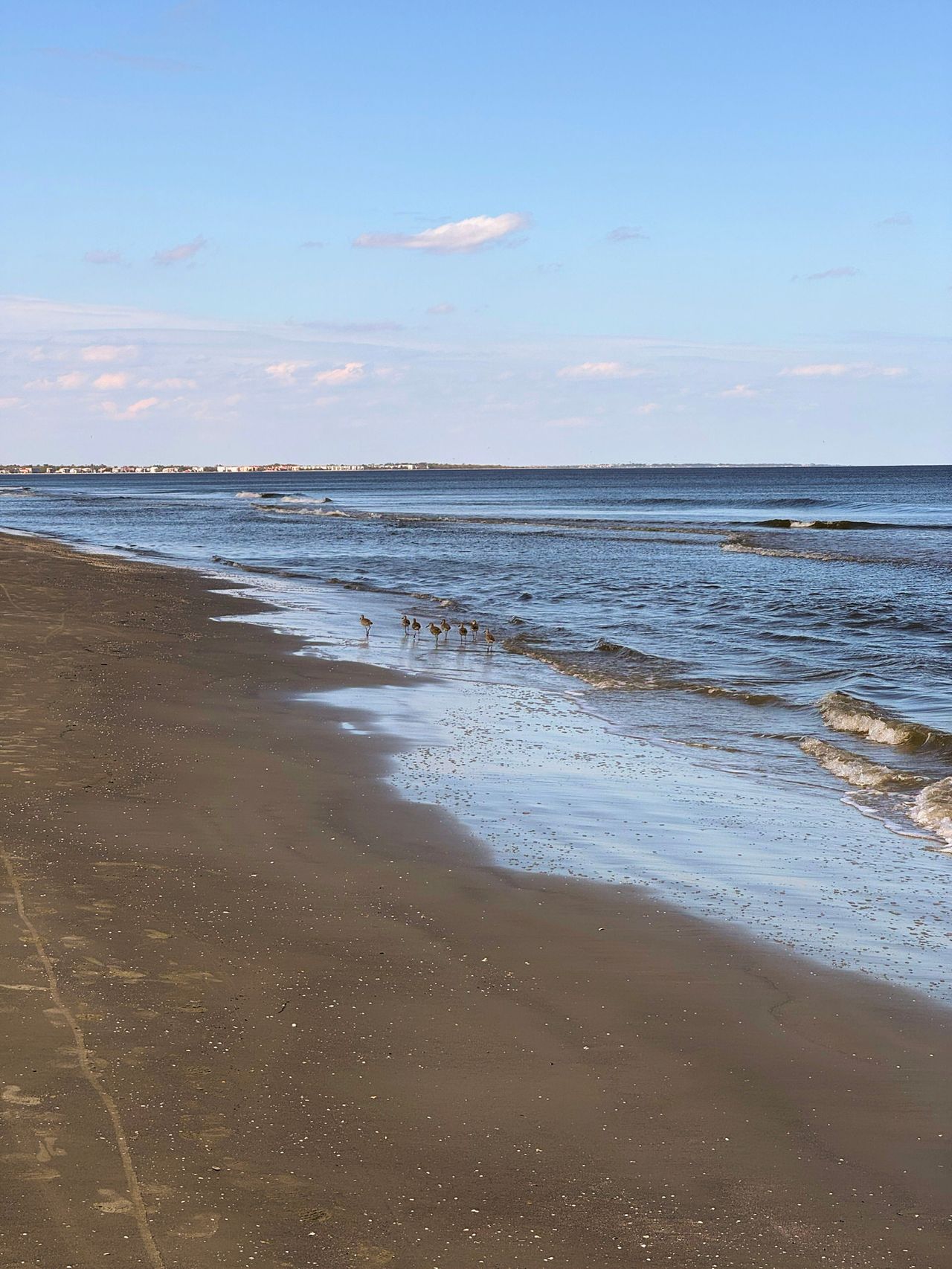 Jekyll Island 2024, photo 6