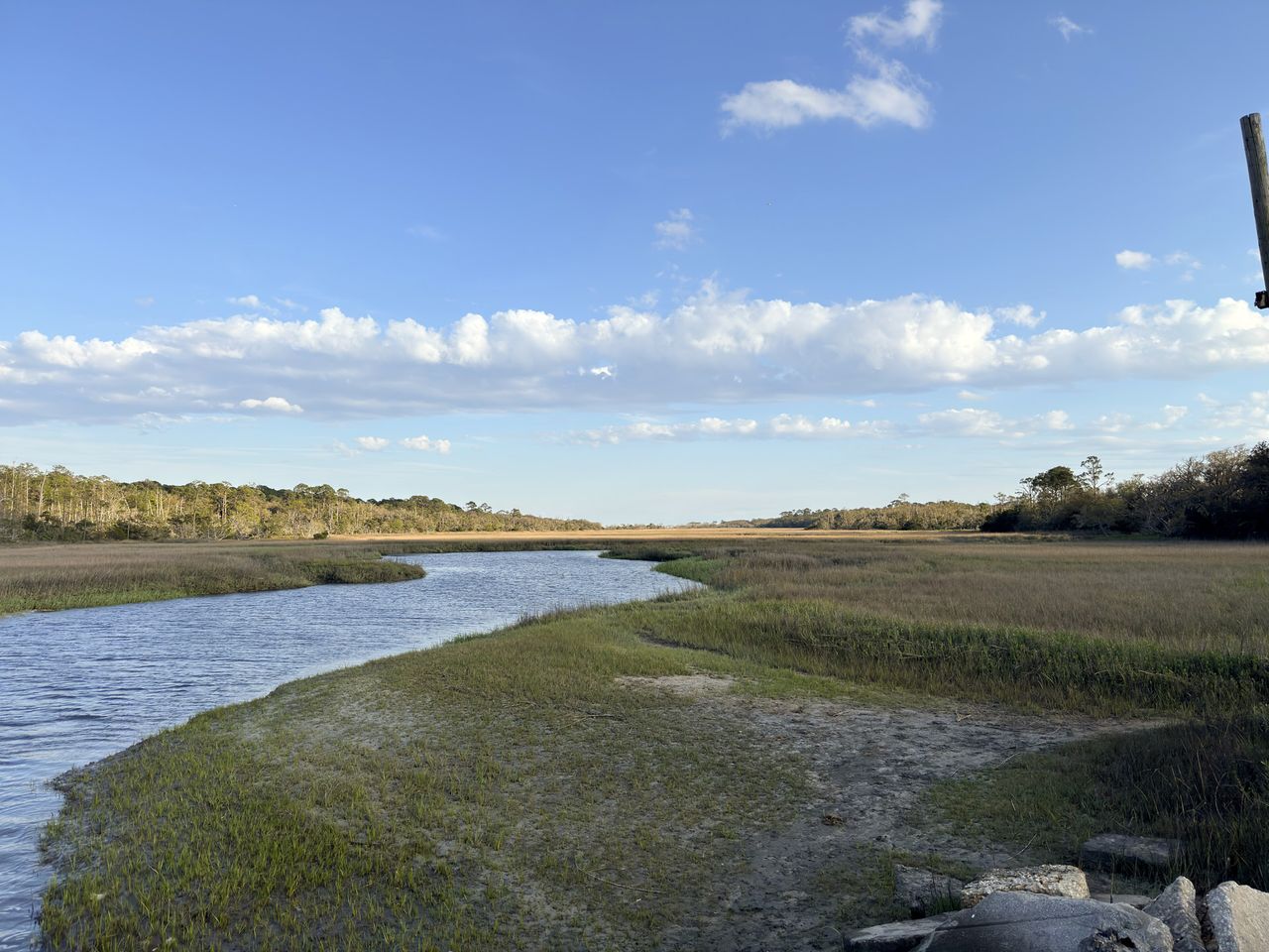 Jekyll Island 2024, photo 22