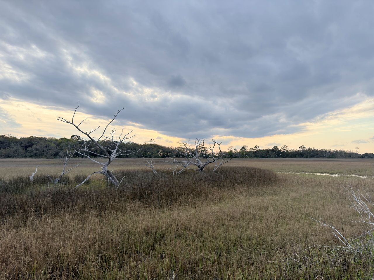 Jekyll Island 2024, photo 23