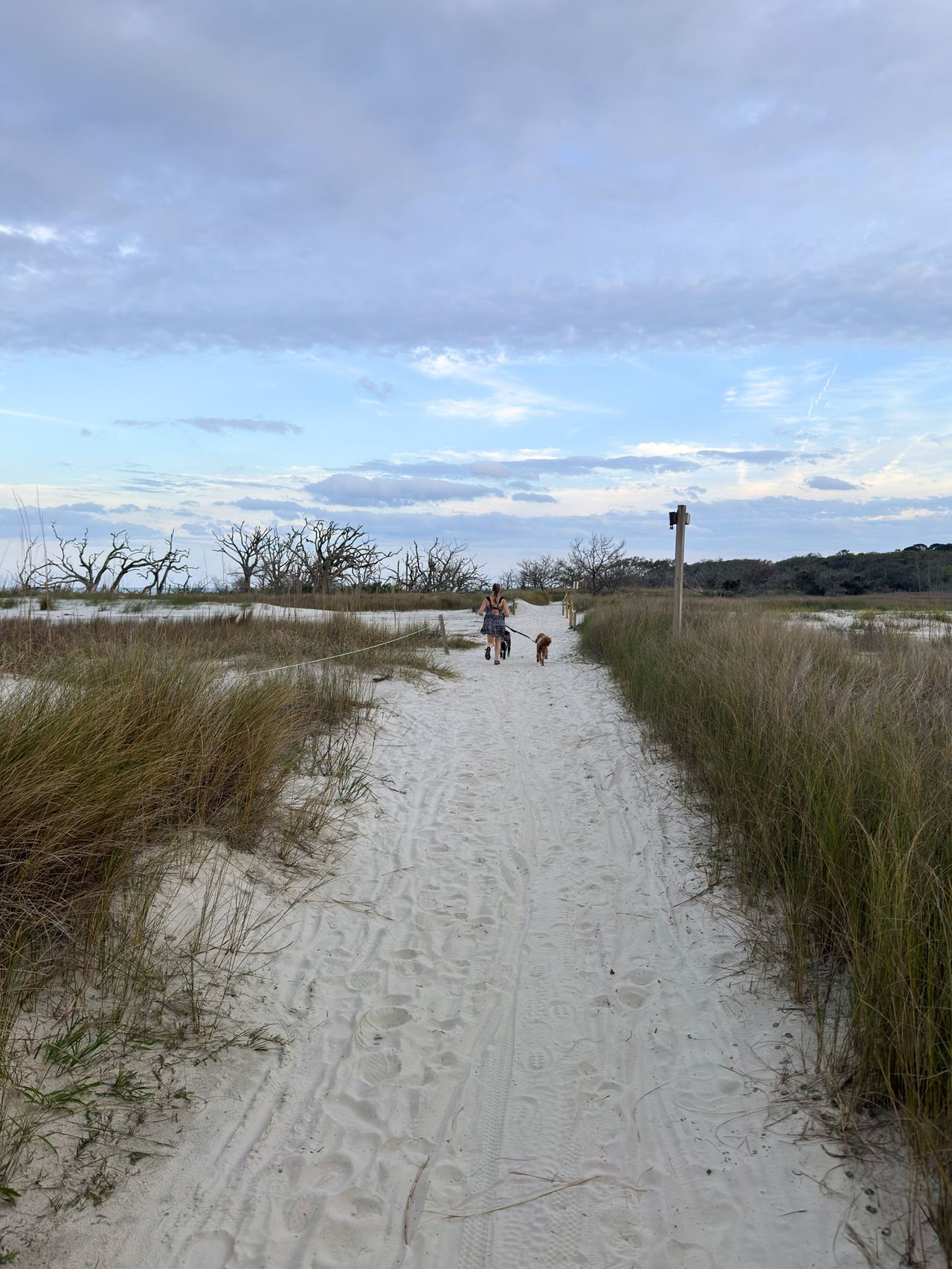 Jekyll Island 2024, photo 21