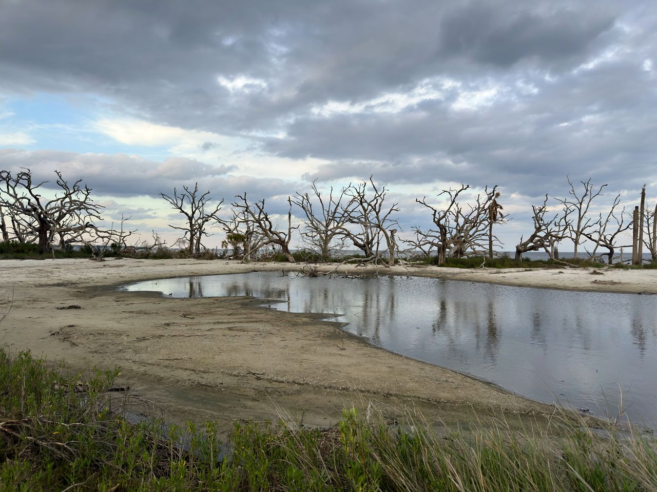 Jekyll Island 2024, photo 24