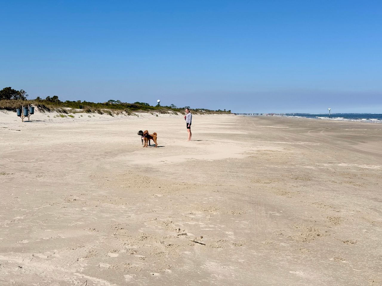 Jekyll Island 2024, photo 26