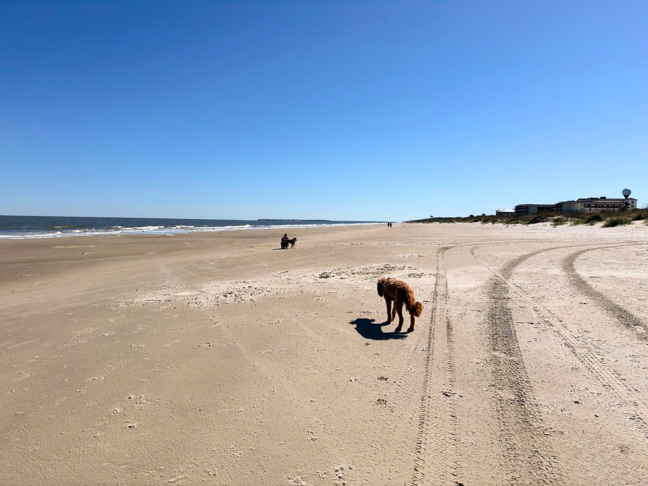 Jekyll Island 2024, photo 27