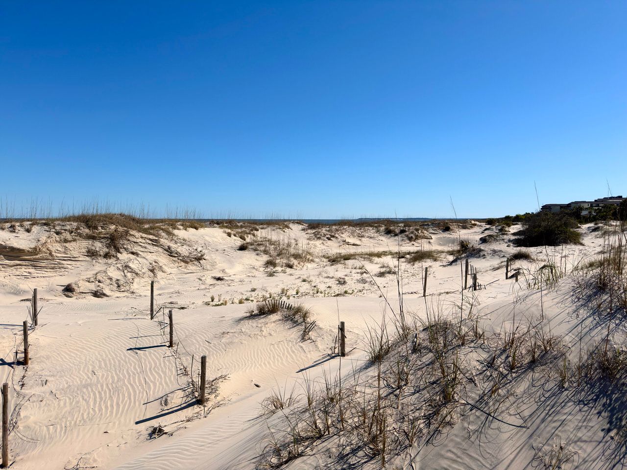 Jekyll Island 2024, photo 30