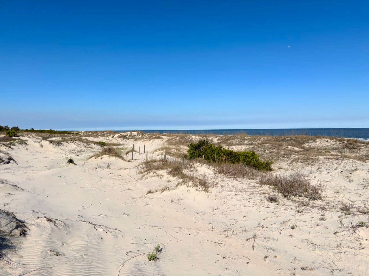 Jekyll Island 2024, photo 31