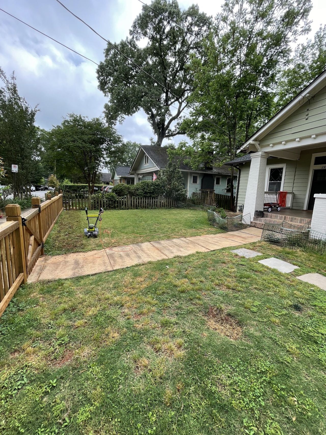 Lawn before I started tilling