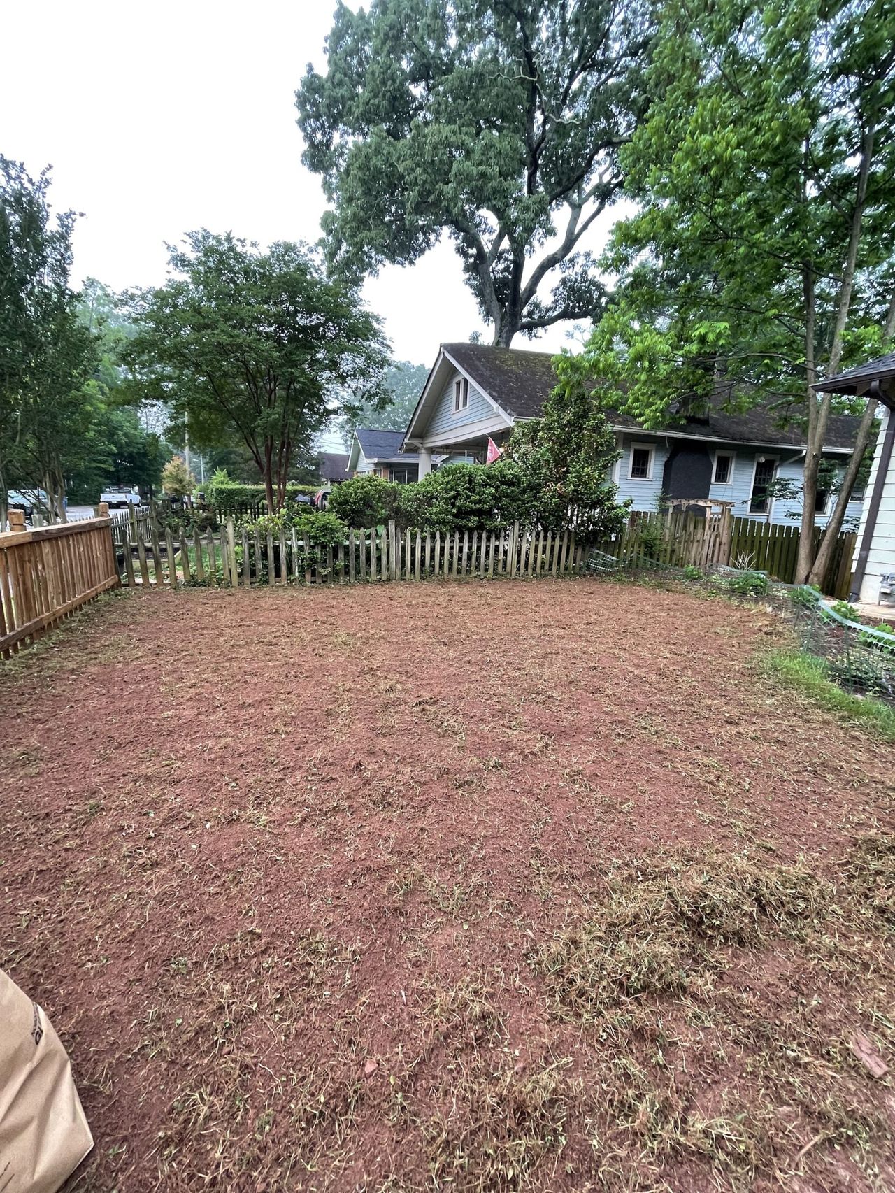 Lawn after the 5th pass with the tiller