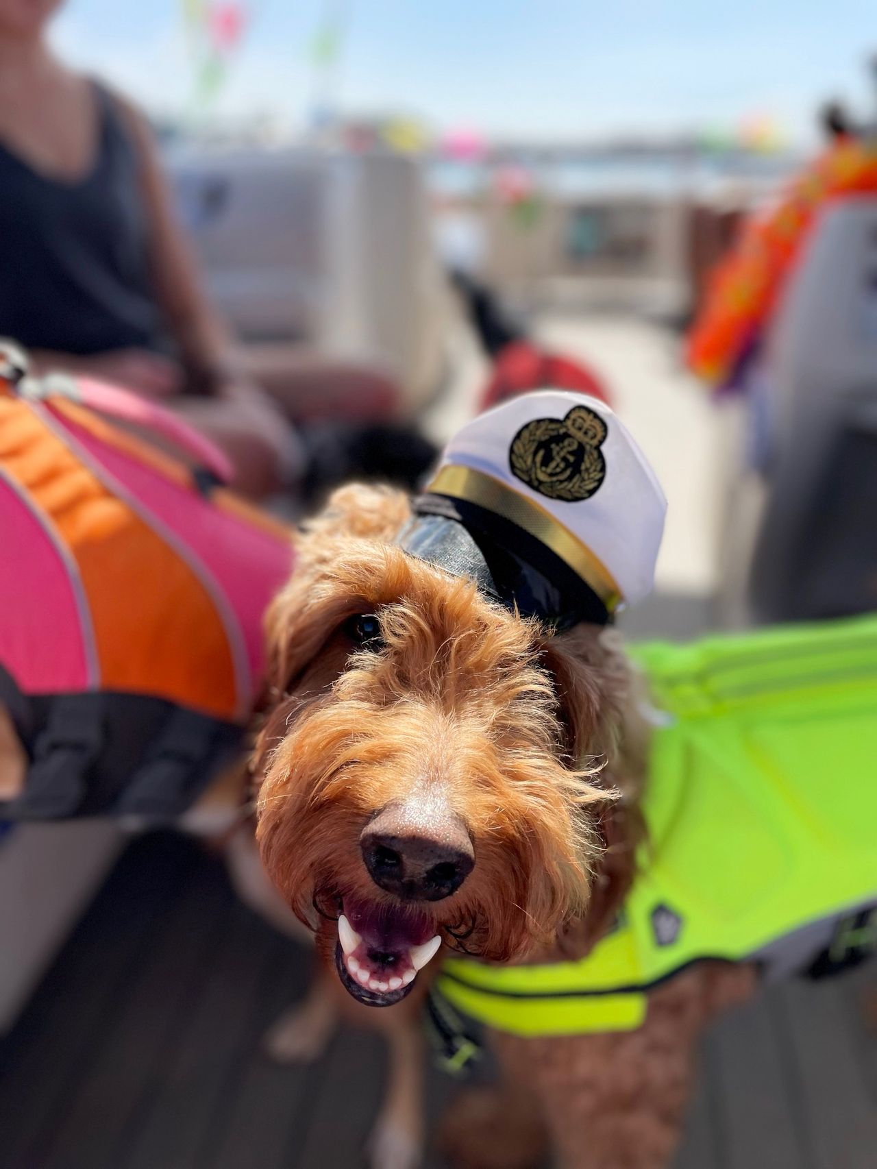 Portrait of Remi with a captains hat.