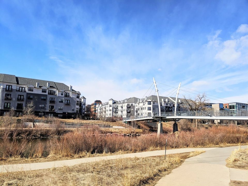 Riverside path with dry grass leading toward a cable-stayed footbridge and apartment buildings