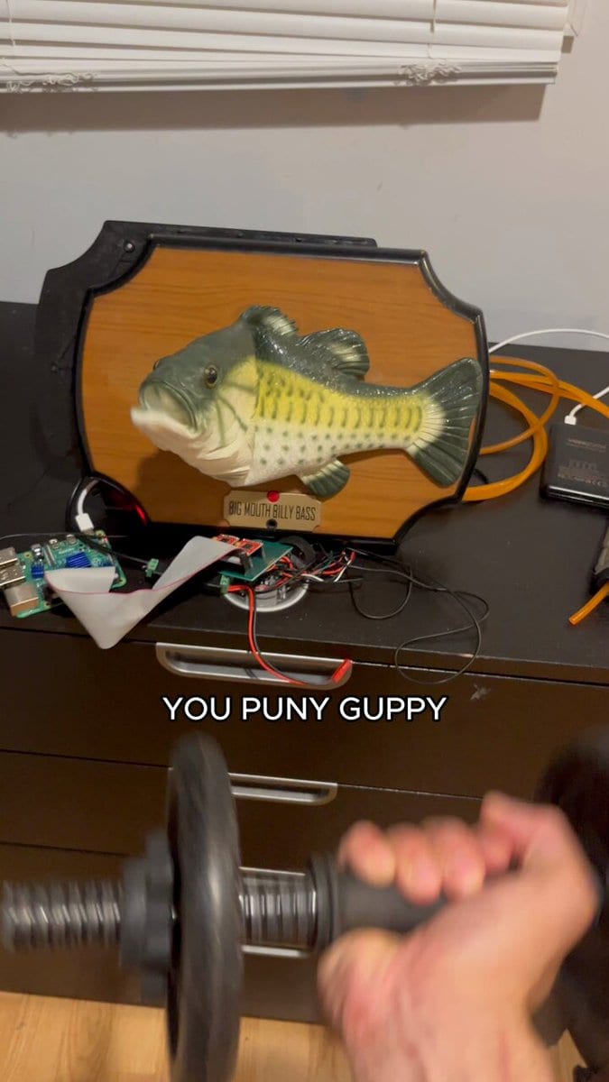 Big Mouth Billy Bass wired to circuit boards on a dresser with the caption You Puny Guppy as a hand lifts a dumbbell