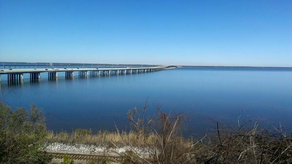 Long bridge stretching across a calm blue bay under a clear sky with brush in the foreground