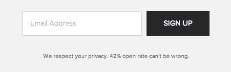 Newsletter signup with an email field and Sign Up button above "We respect your privacy. 42% open rate can't be wrong"