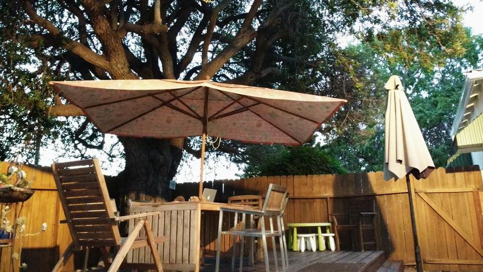 Backyard patio under a large oak with a wooden table, umbrellas, chairs and a laptop beside a wooden fence