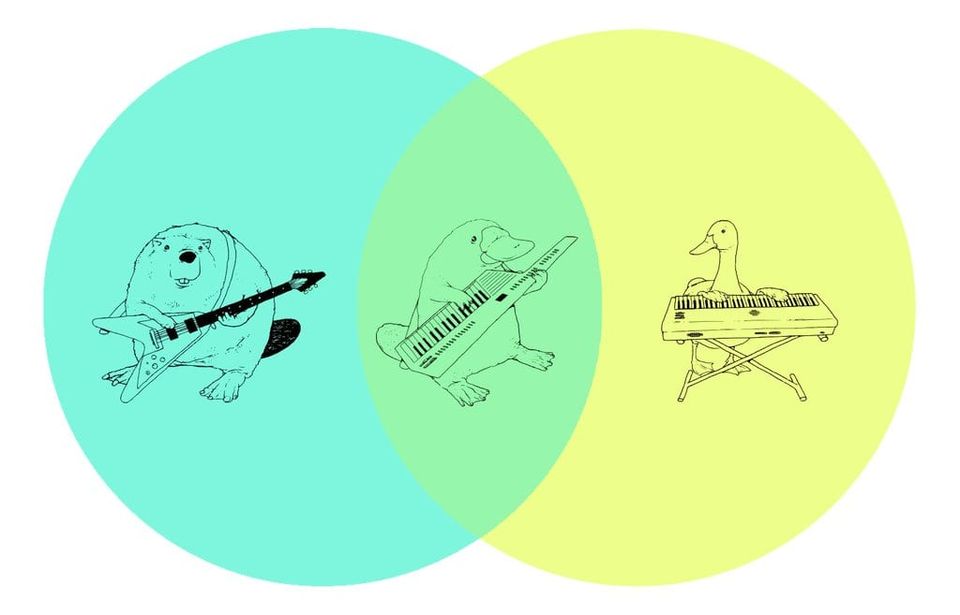 Venn diagram of a beaver with a guitar and a duck at a keyboard overlapping on a platypus playing a keytar