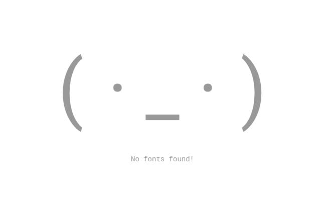 Google Fonts empty state with a text face ( ·_· ) above No fonts found!