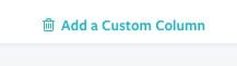 Teal link reading Add a Custom Column beside a trash can icon