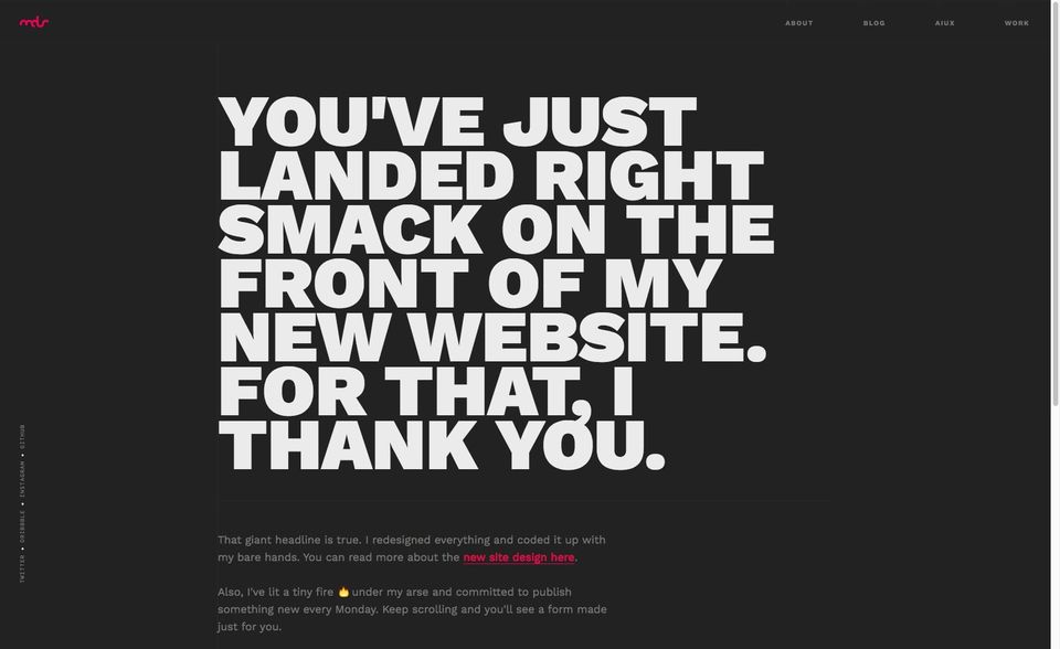 Website with a huge bold headline reading You've just landed right smack on the front of my new website