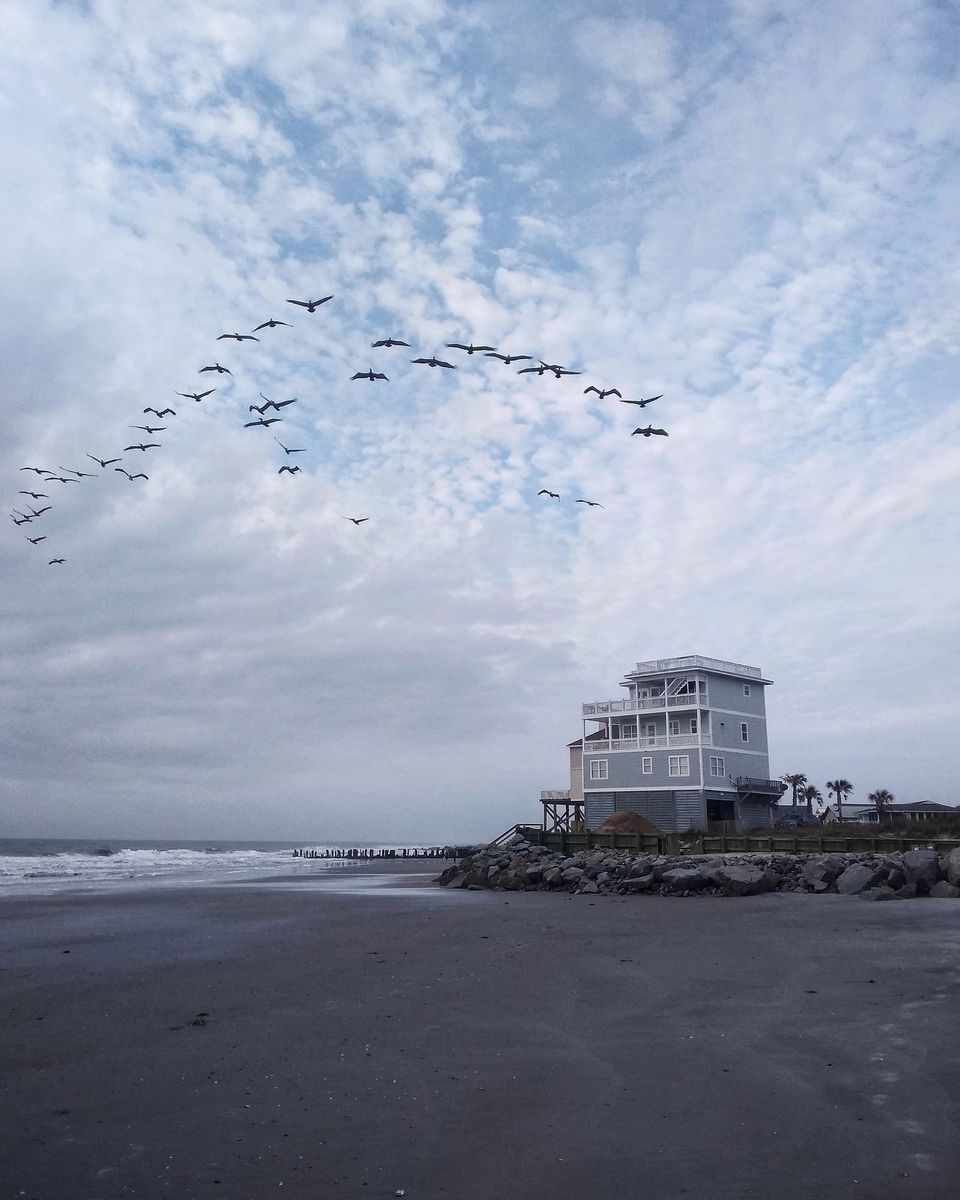 Flock of pelicans flying over a gray beach beside a tall blue beach house under a cloudy sky