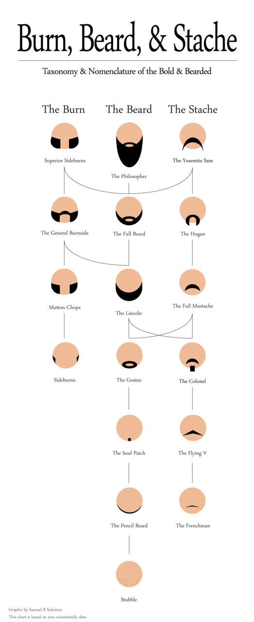 Illustrated taxonomy chart titled "Burn, Beard, & Stache" showing named facial hair styles from The Philosopher down to Stubble