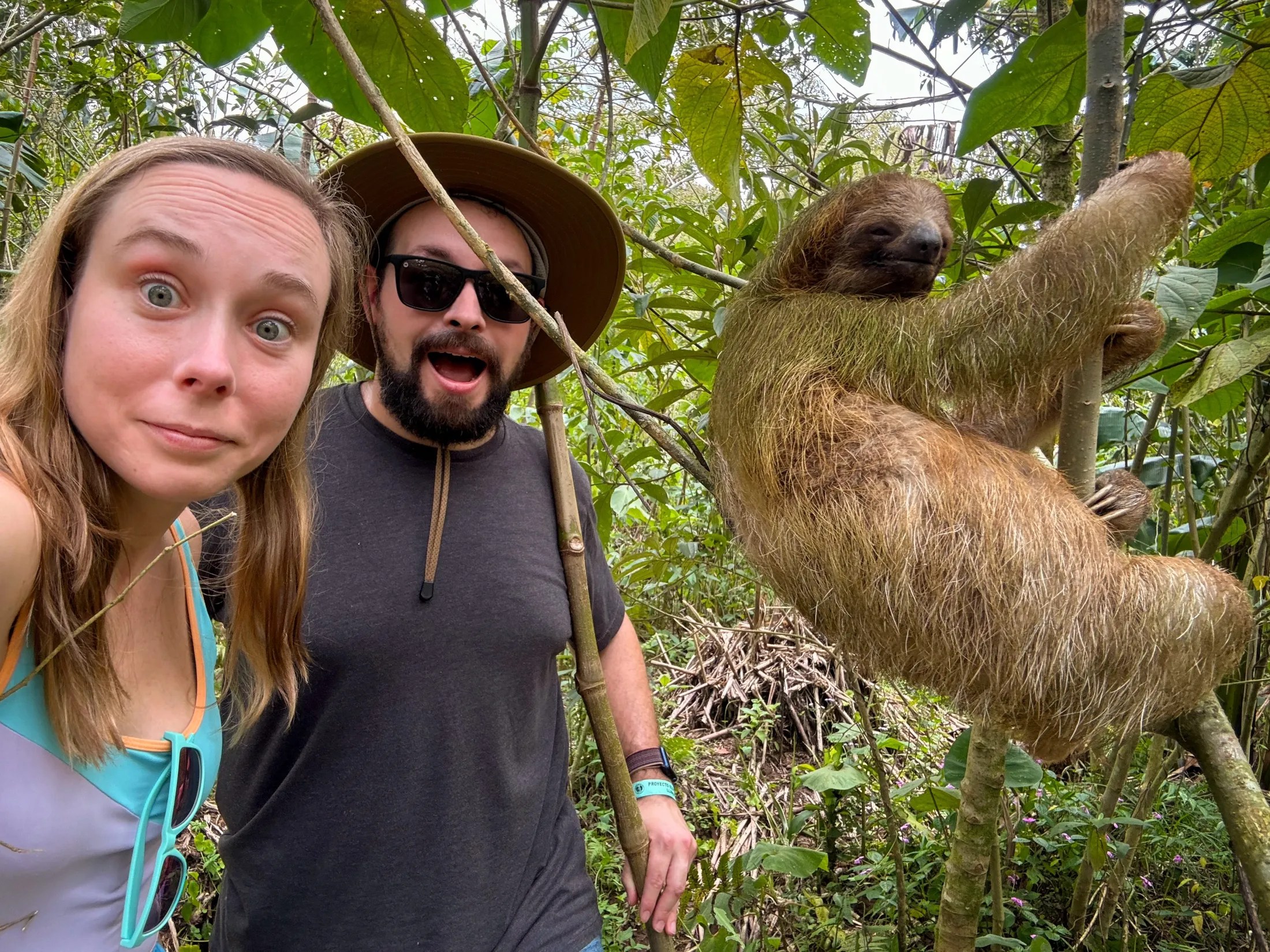 Holly, Sam and a Sloth at the Sloth's Ecological Farm in Costa Rica.