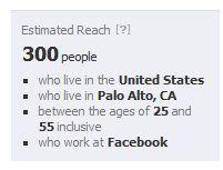 Facebook Job Ad Audience Details