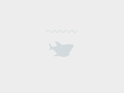 Digital Ocean Loader, Spinner